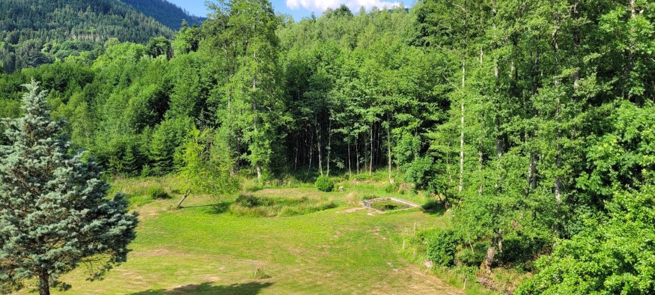Gite Forestier Du Moulin Raon-sur-Plaine Екстериор снимка