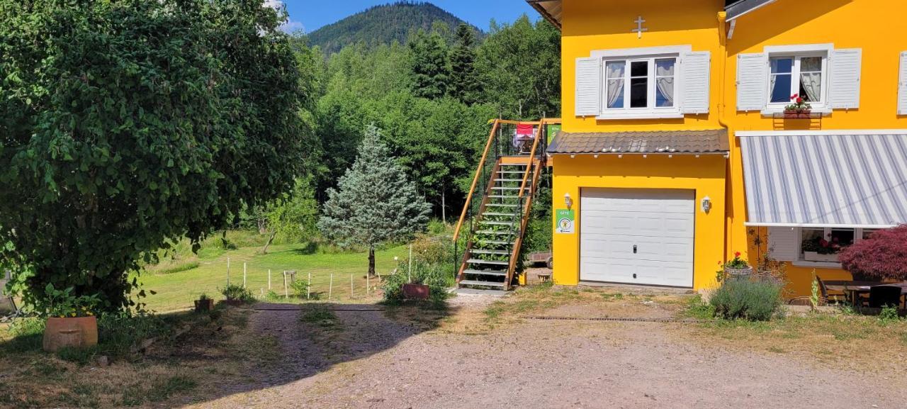 Gite Forestier Du Moulin Raon-sur-Plaine Екстериор снимка