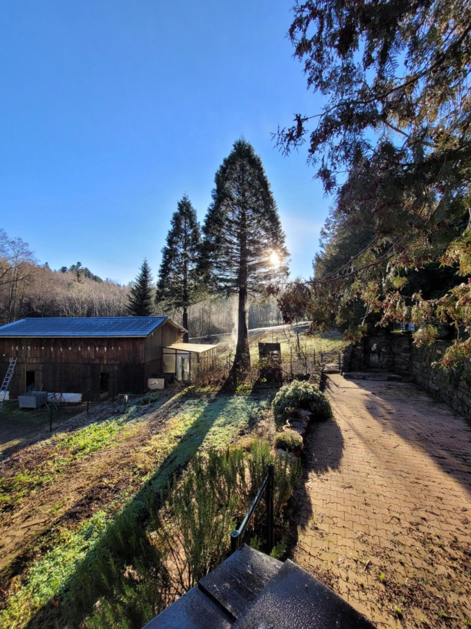 Gite Forestier Du Moulin Raon-sur-Plaine Екстериор снимка