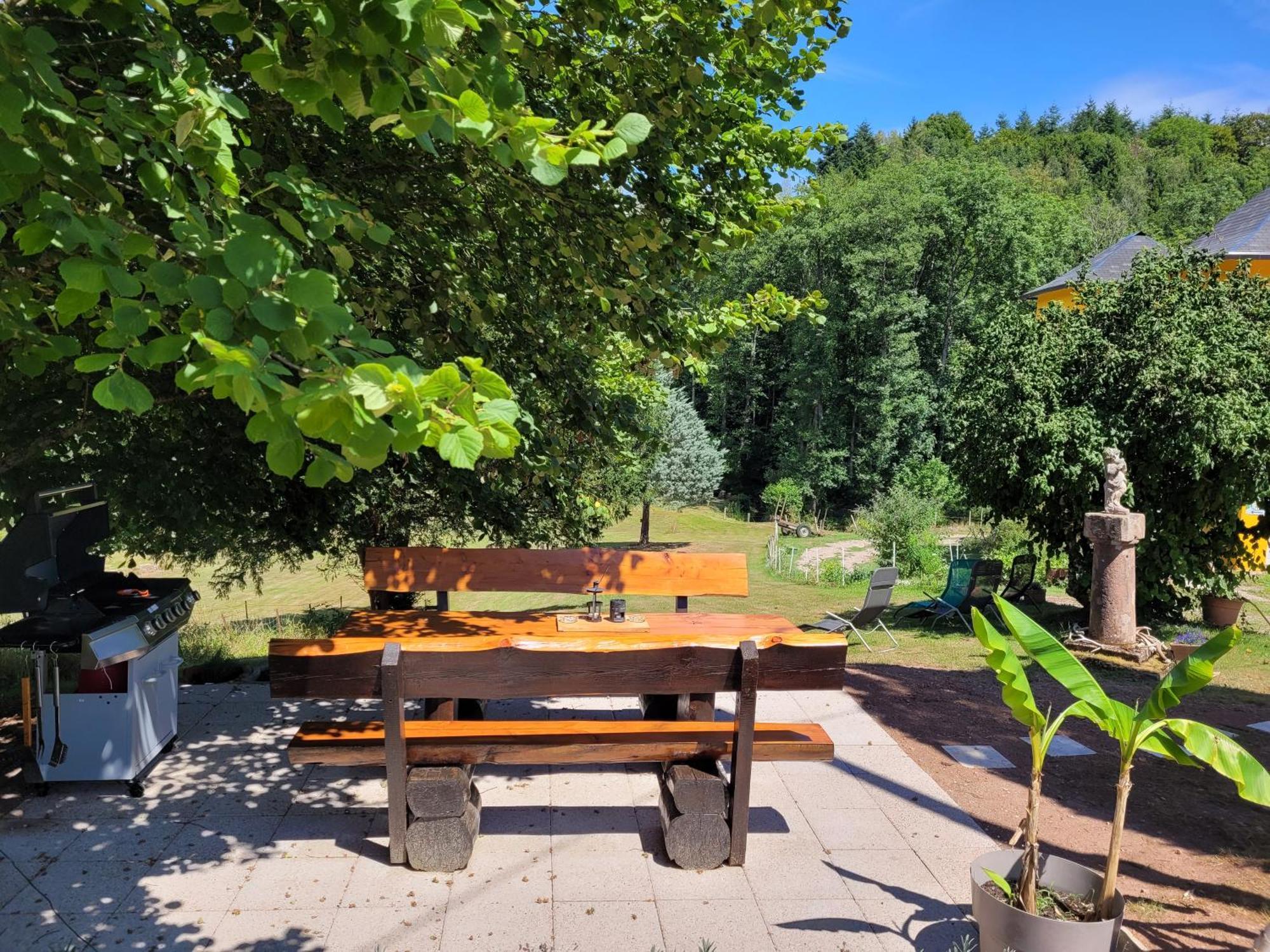 Gite Forestier Du Moulin Raon-sur-Plaine Екстериор снимка