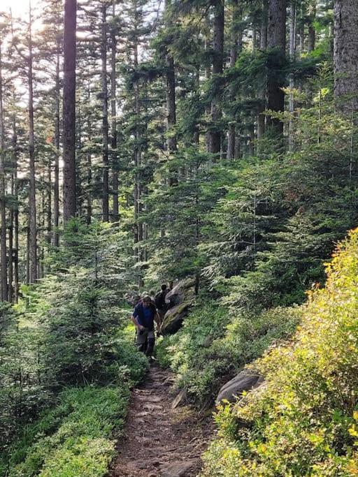 Gite Forestier Du Moulin Raon-sur-Plaine Екстериор снимка