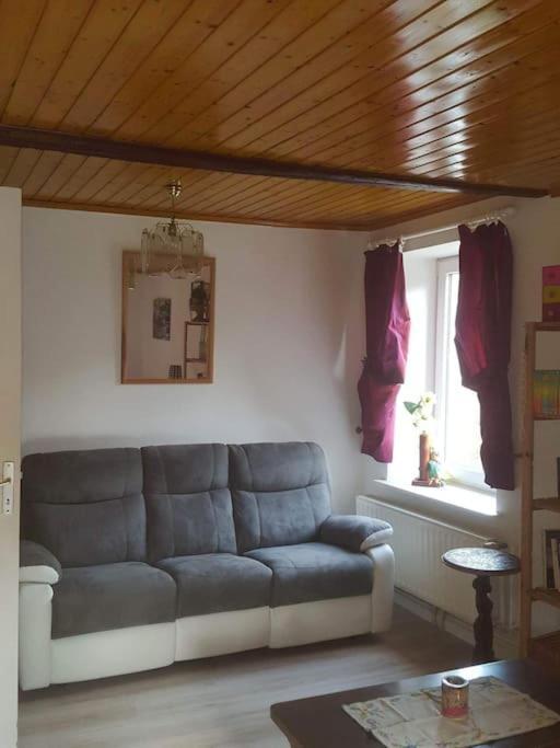 Gite Forestier Du Moulin Raon-sur-Plaine Екстериор снимка