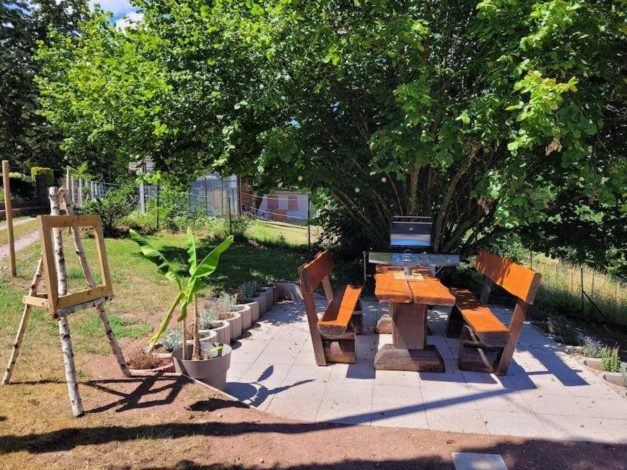 Gite Forestier Du Moulin Raon-sur-Plaine Екстериор снимка