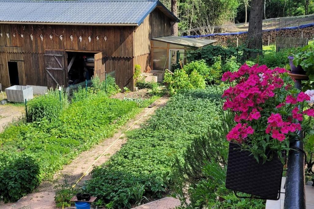 Gite Forestier Du Moulin Raon-sur-Plaine Екстериор снимка