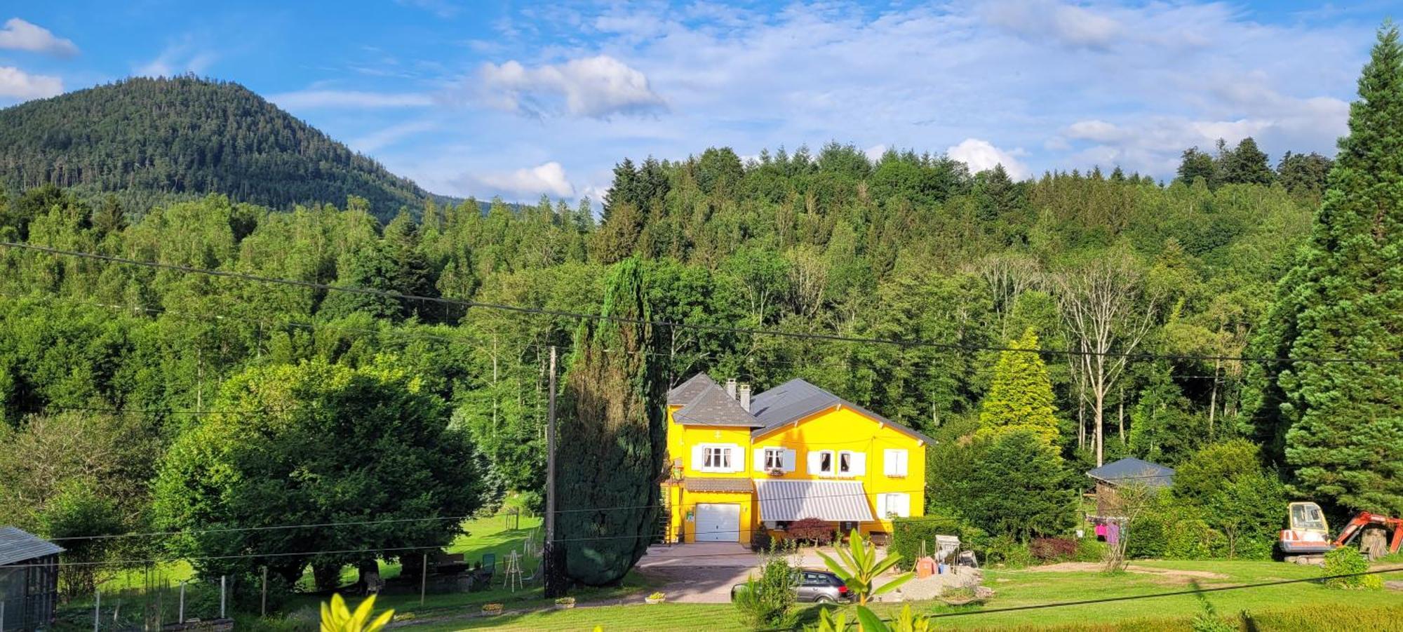 Gite Forestier Du Moulin Raon-sur-Plaine Екстериор снимка